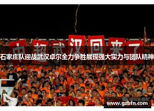 石家庄队迎战武汉卓尔全力争胜展现强大实力与团队精神